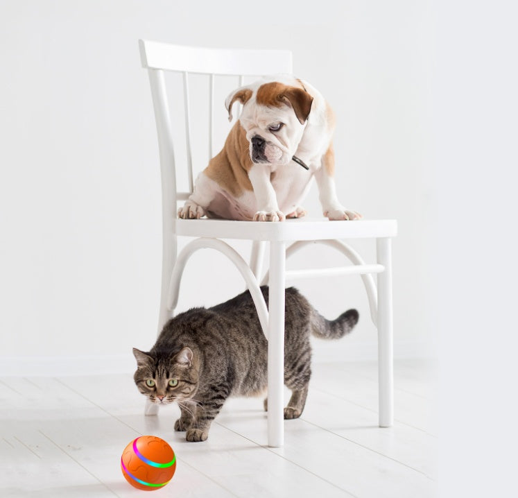 Pet Intelligent Toy Ball – USB Rechargeable, 360° Self-Rotating Design